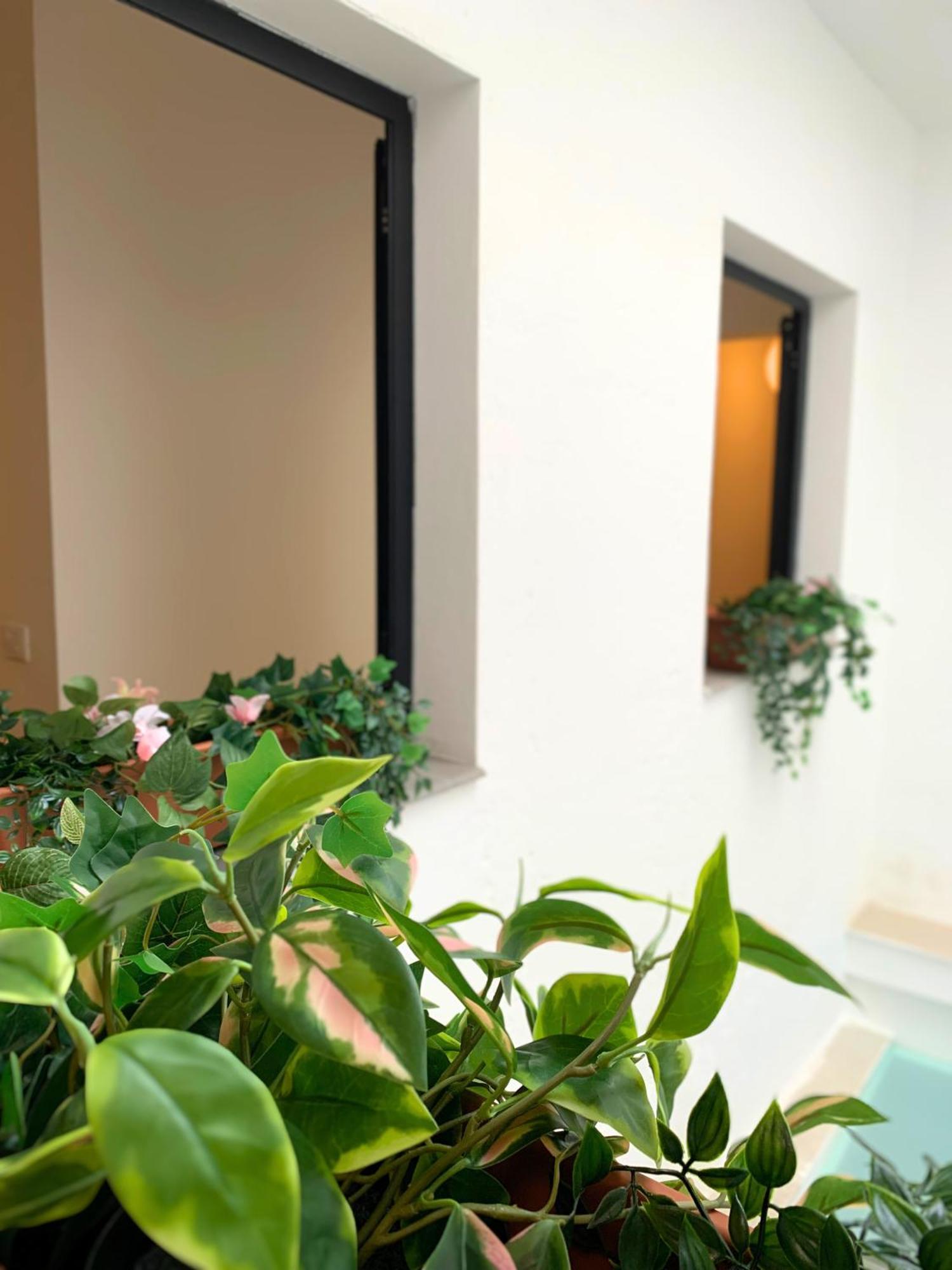 Nordic! 1 Bedroom Apartment Puerto de la Cruz  Buitenkant foto